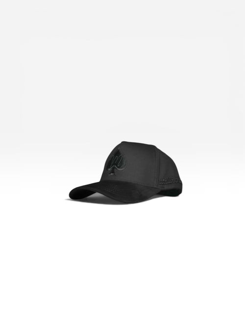 Millionaire de noir